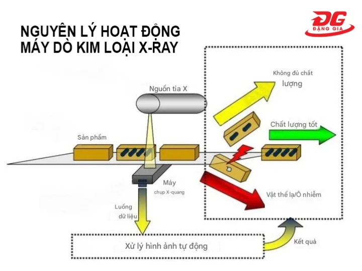 Nguyên lý hoạt động của máy