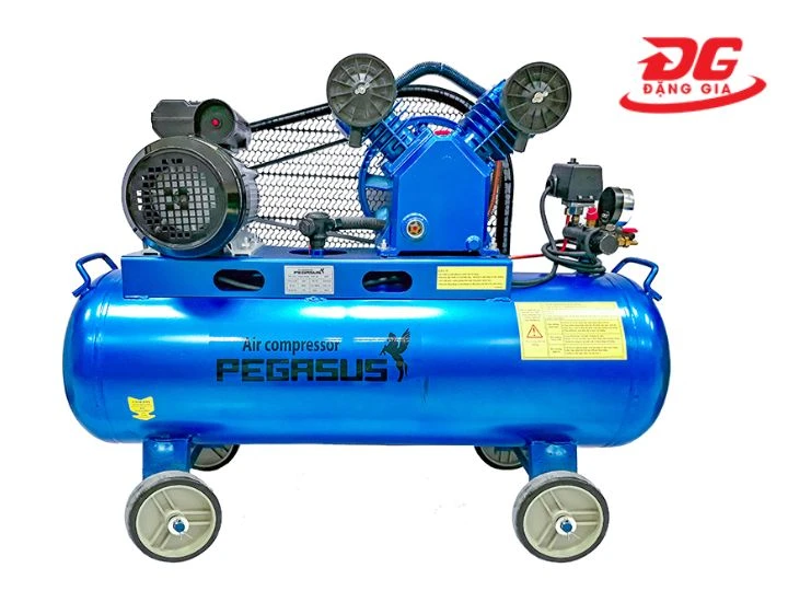 Cấu tạo bộ phận của máy nén khí Peagasus