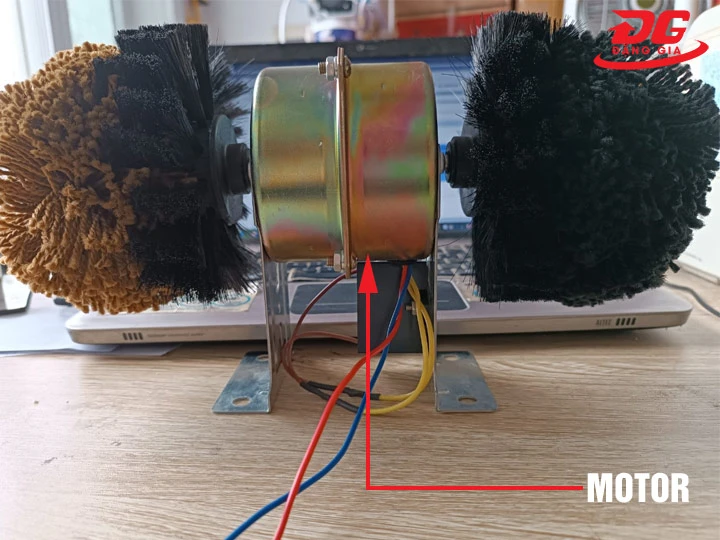 Motor máy đánh giày