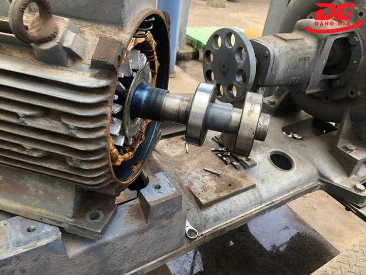 kiểm tra motor và đạn bạc