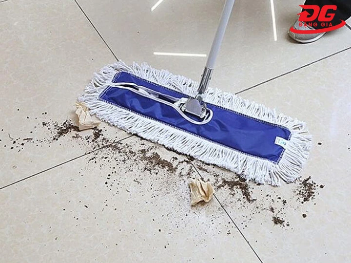cây lau nhà màu xanh 60cm hiệu quả