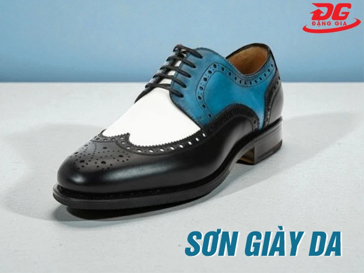 sơn giày da