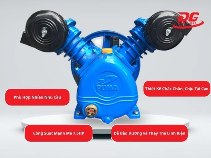 Những ưu điểm nổi bật của đầu nén khí Puma PX7250A