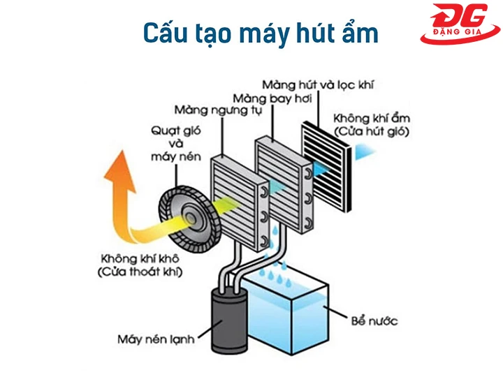 cấu tạo của máy hút ẩm