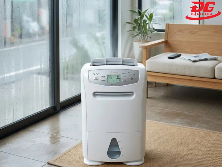 kinh nghiệm mua máy hút ẩm