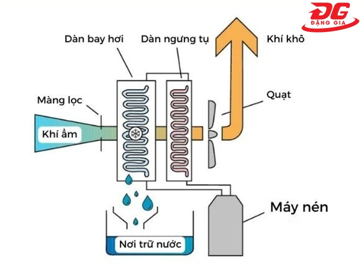 nguyên lý hoạt động của máy hút ẩm