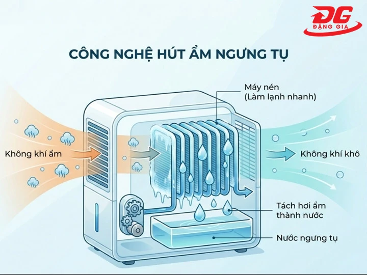 máy hút ẩm công nghiệp ngưng tụ