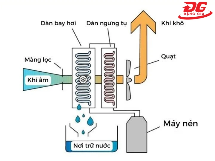 cơ chế hoạt động của máy hút ẩm