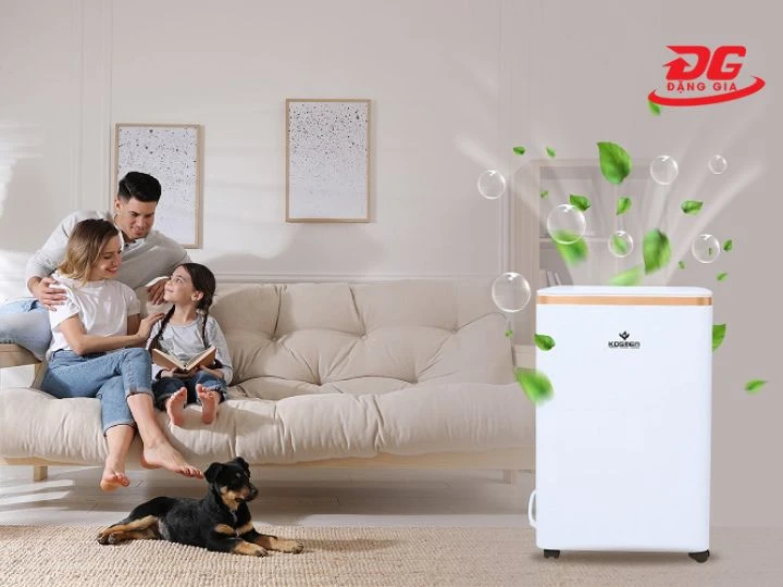 Máy hút ấm sẽ giúp hạn chế vi khuẩn phát triển và ngăn ngừa ẩm mốc