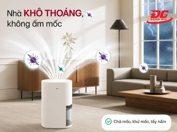 Máy hút ẩm giúp mang lại bầu không khí trong lành