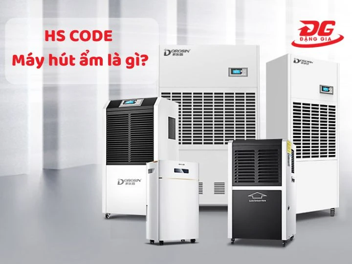 Tra cứu HS Code máy hút ẩm chính xác, nhanh chóng