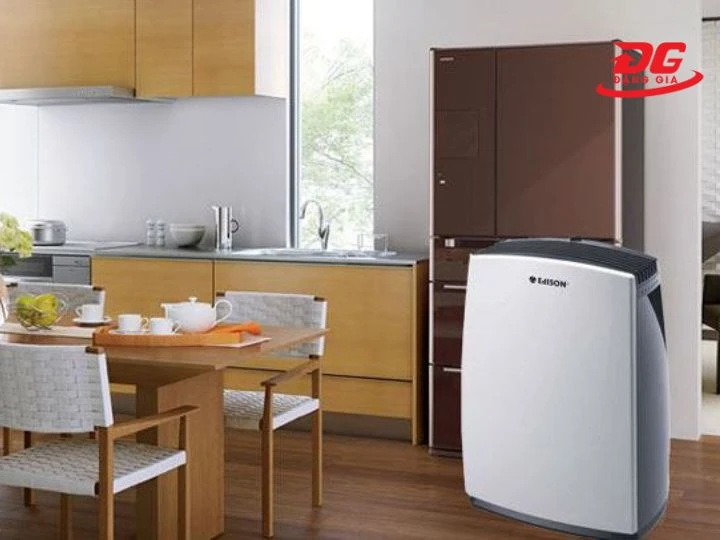 máy hút ẩm giúp ngăn ngừa ẩm mốc