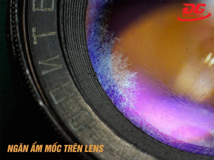 tủ chống ẩm máy ảnh Đà Nẵng chống nấm mốc lens