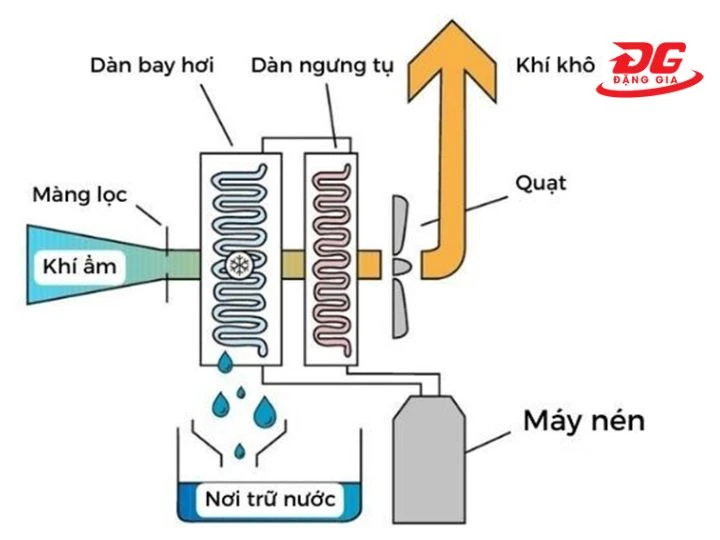 Cơ chế hoạt động của Fujie HM-WKM-550P
