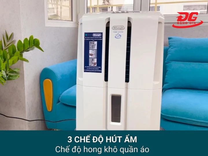 Máy hút ẩm dân dụng DeLonghi cao cấp