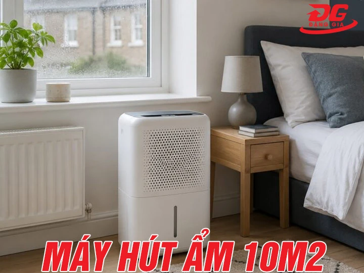 Máy hút ẩm 10m2 loại nào tốt? Tư vấn chọn mua chuẩn