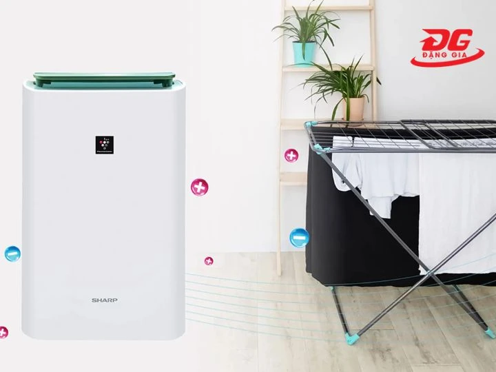 máy hút ẩm sharp CV-C100 đánh tan mọi vết bẩn