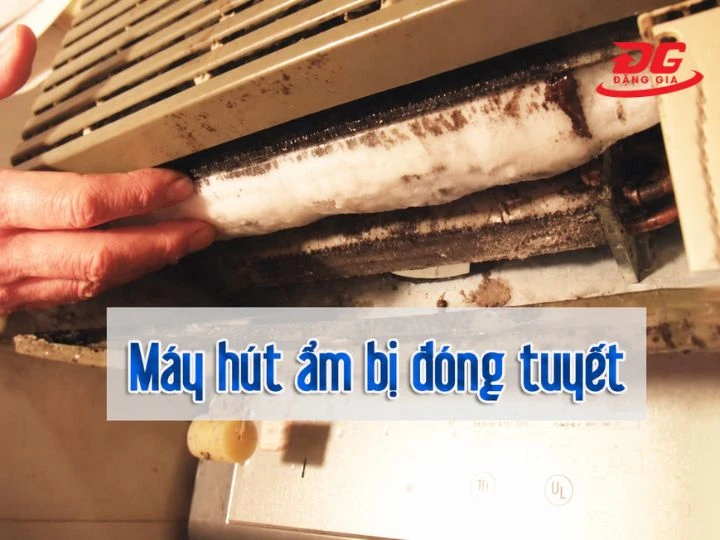 Máy hút ẩm bị đóng tuyết: 7 nguyên nhân và cách khắc phục