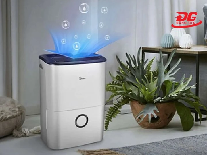 với khả năng hút ẩm nhanh chóng trong mọi không gian