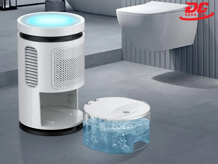 Cả nước máy hút ẩm Seavon