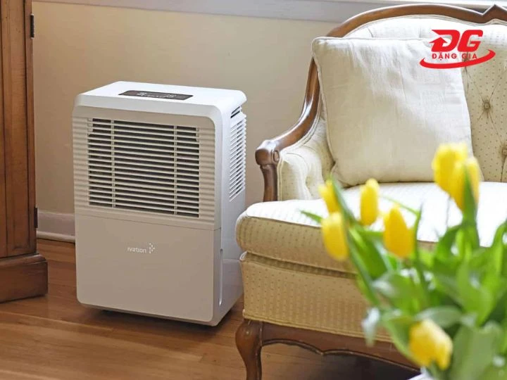Máy hút ẩm giúp khử mùi hiệu quả