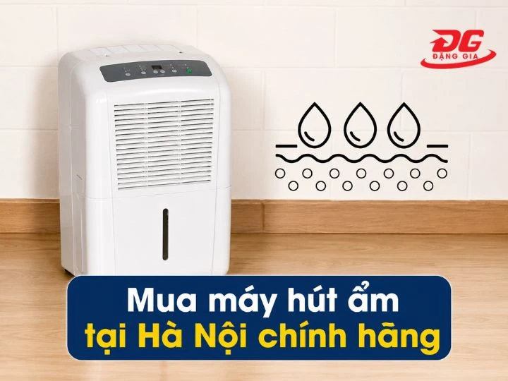 Máy hút ẩm tại Hà Nội: 8+ thương hiệu bán chạy & địa chỉ mua uy tín