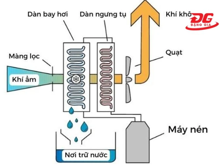 sơ đồ nguyên lý hoạt động của máy hút ẩm ngưng tụ