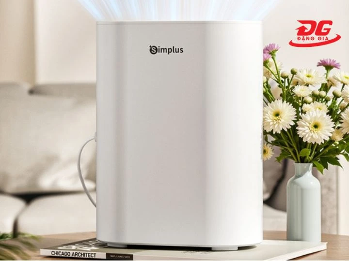 máy hút ẩm phòng ngủ Simplus hạn chế nấm mốc và giảm mùi hôi