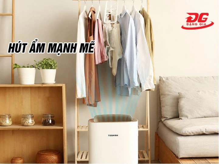 với công suất hút ẩm mạnh mẽ