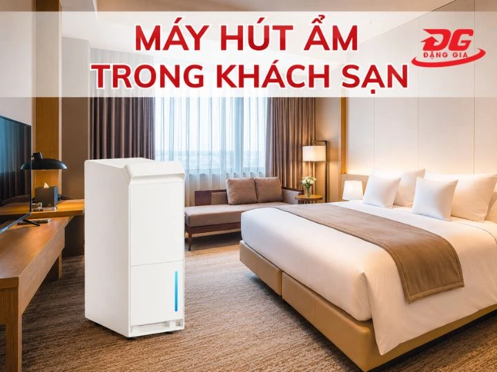 Máy hút ẩm khách sạn loại nào tốt? TOP 8 model đáng đầu tư hiện nay