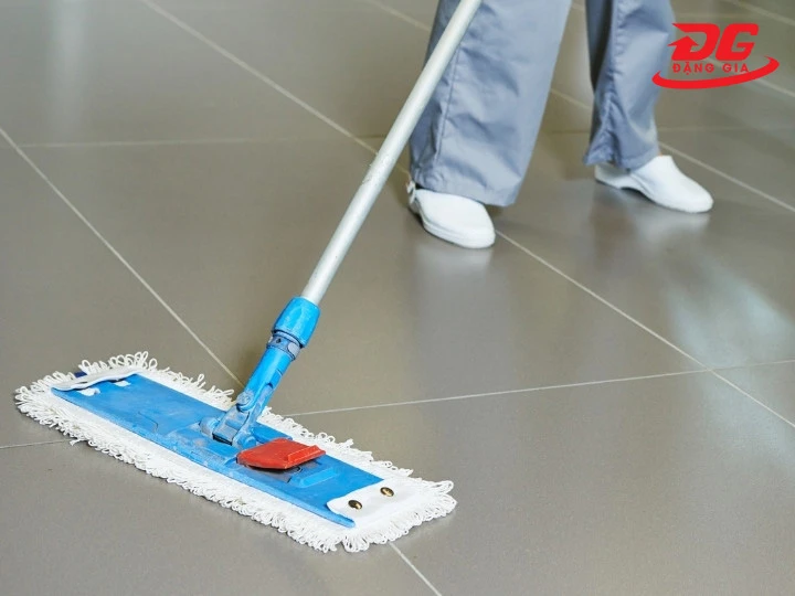 Diện tích bao nhiêu nên sử dụng cây lau nhà công nghiệp?