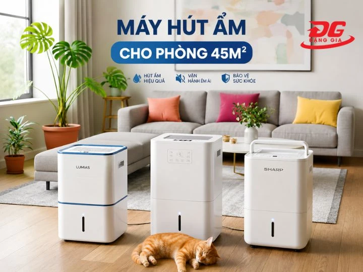 TOP 7+ máy hút ẩm 45m2 tốt nhất | Tư vấn chọn công suất chuẩn