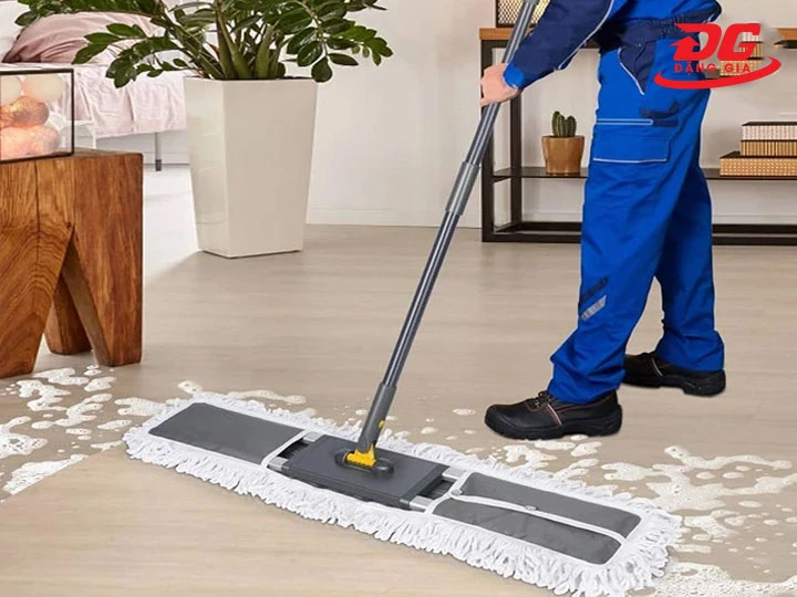 Ứng Dụng Của Cây Lau Nhà Công Nghiệp