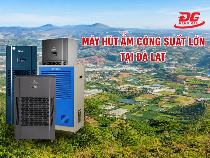 TOP 9+ máy hút ẩm Đà Lạt giá rẻ, uy tín nên mua