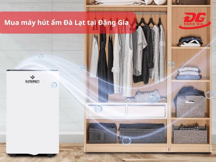 Mua máy hút hơi ẩm Đà Lạt tại Đặng Gia