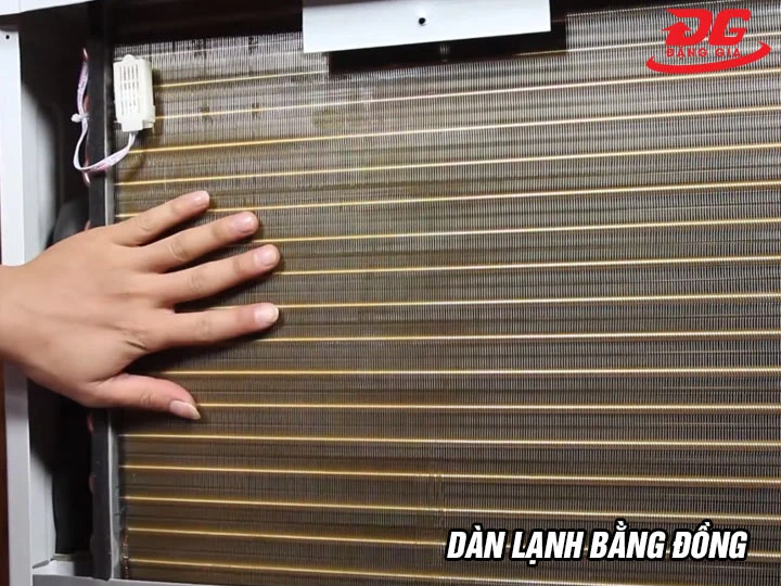 Dàn lạnh máy hút ẩm FujiE DY-6105EB