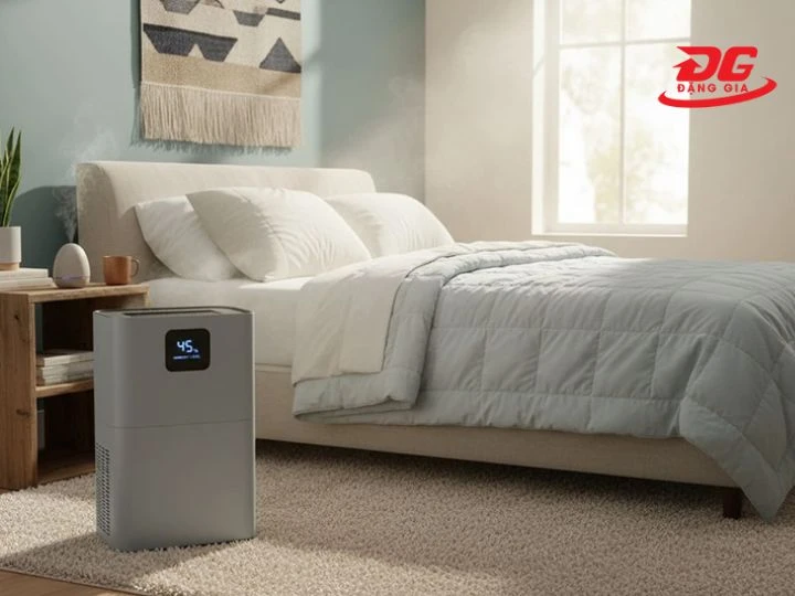 máy hút ẩm giúp chăn ga, đệm và quần áo luôn khô ráo