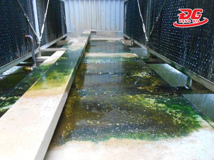 Màng bám vi sinh tháp giải nhiệt