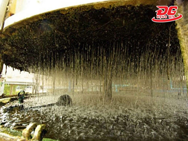 Rong rêu bám vào tháp giải nhiệt công suất lớn