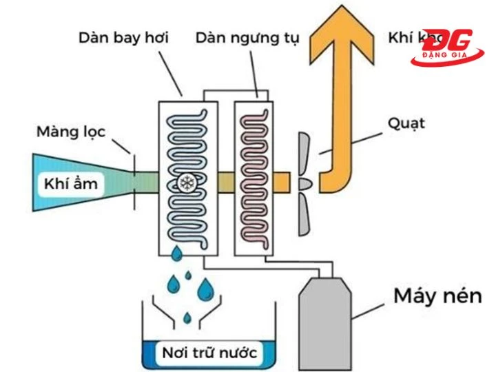 nguyên lý cấu tạo của máy hút ẩm ngưng tụ
