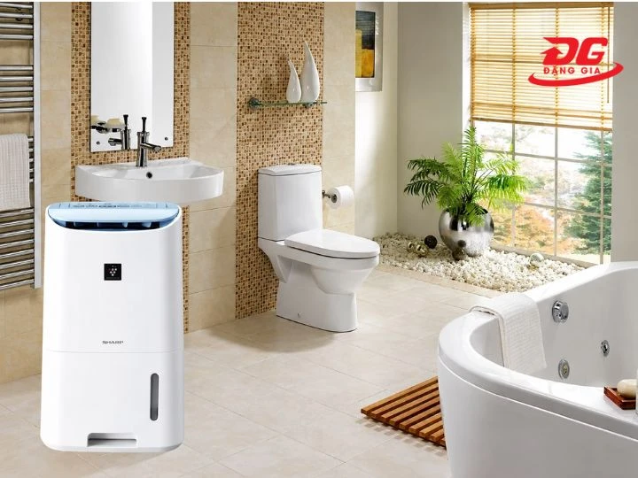 Top 3 máy hút ẩm nhà tắm chống ẩm mốc, khử mùi hiệu quả
