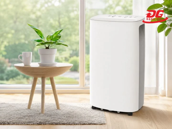 TOP 5 máy hút ẩm Roler: Hút ẩm nhanh - Bền bỉ đẳng cấp