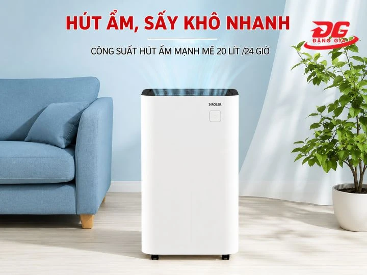 máy khử ẩm Roler loại bỏ ẩm mốc hiệu quả