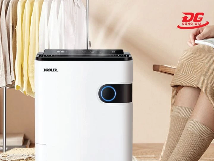 mua máy hút ẩm Roler chính hãng