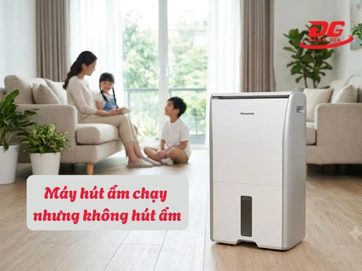 máy khử ẩm không hút được ẩm dù vẫn đang chạy