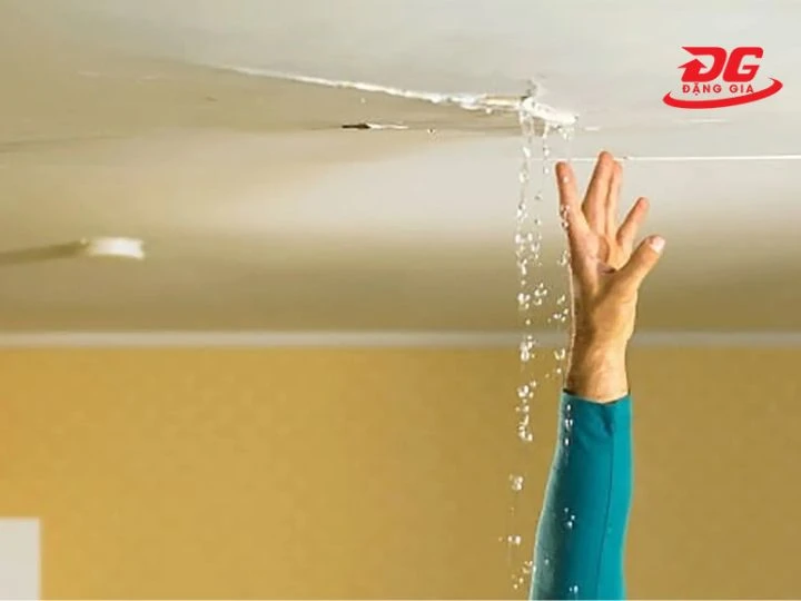 Không nên để tường bị thấm nước