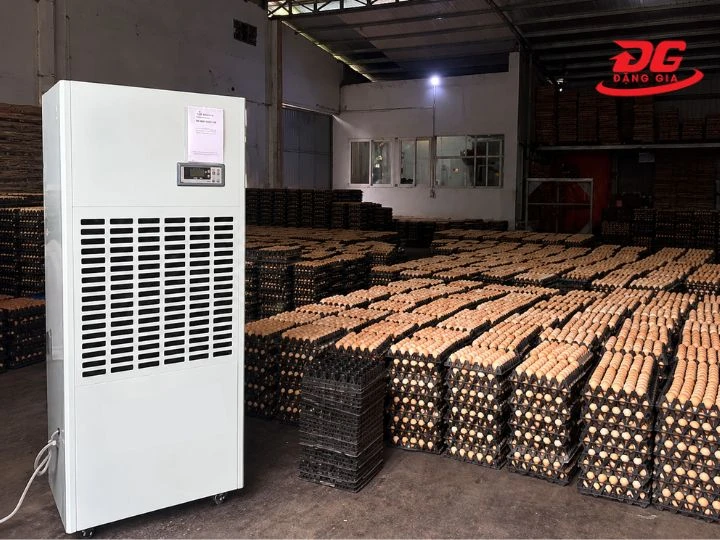 đặt Dorosin DP-5S ở vị trí phù hợp