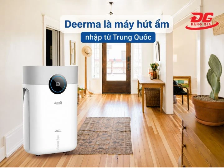 Máy hút ẩm Deerma của nước nào? Top 5 model đáng mua