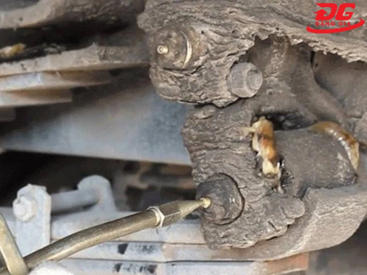 tra mỡ xe tải