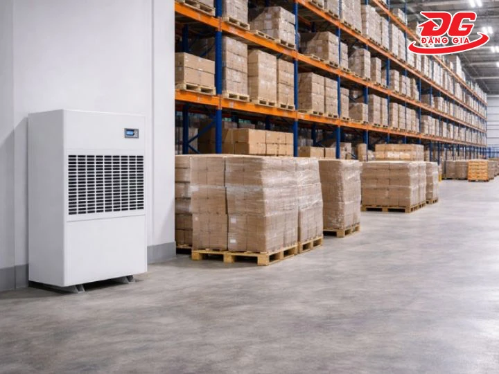 máy hút ẩm công nghiệp Dorosin DP-20S để ở đâu